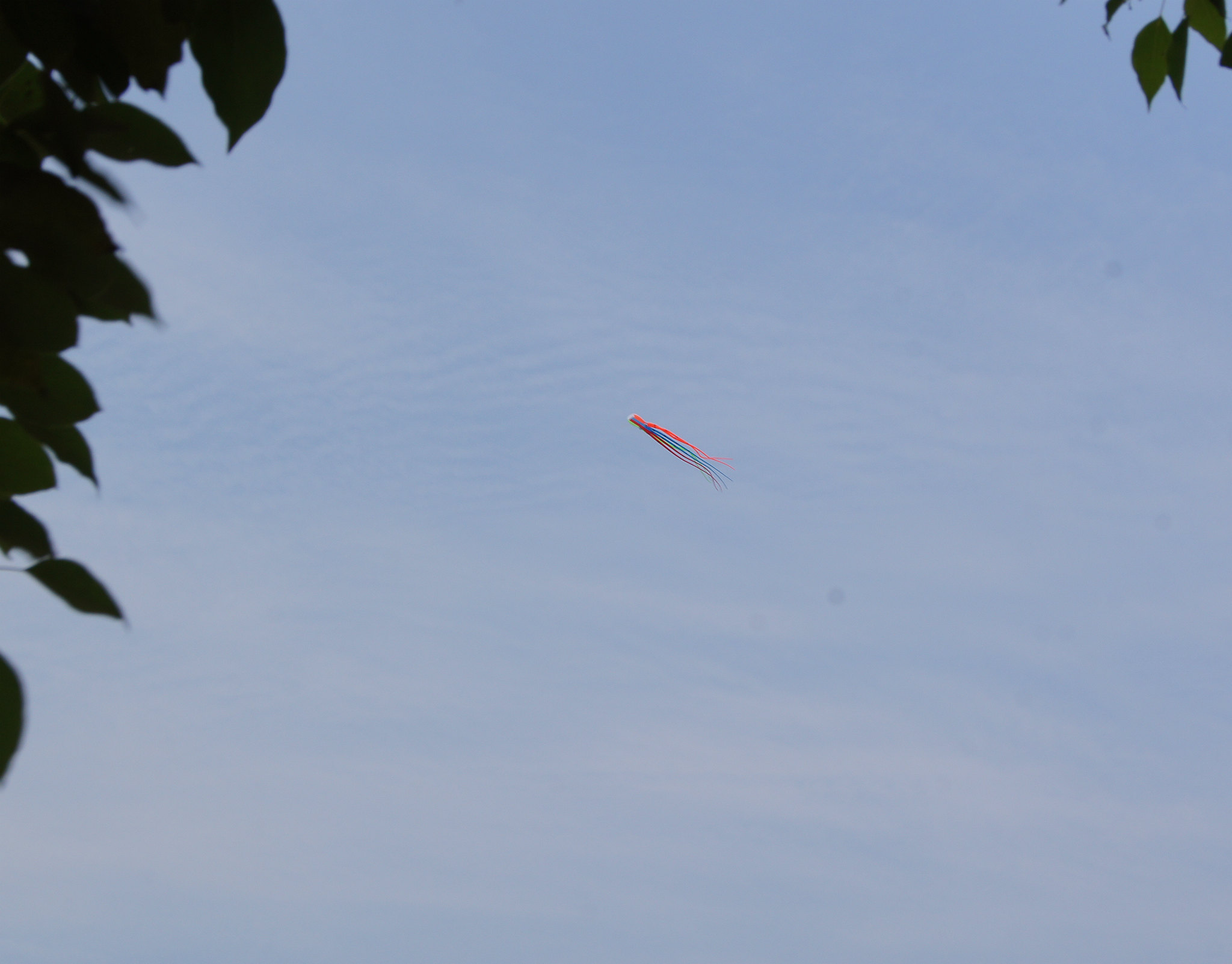 dsc00205_.jpg