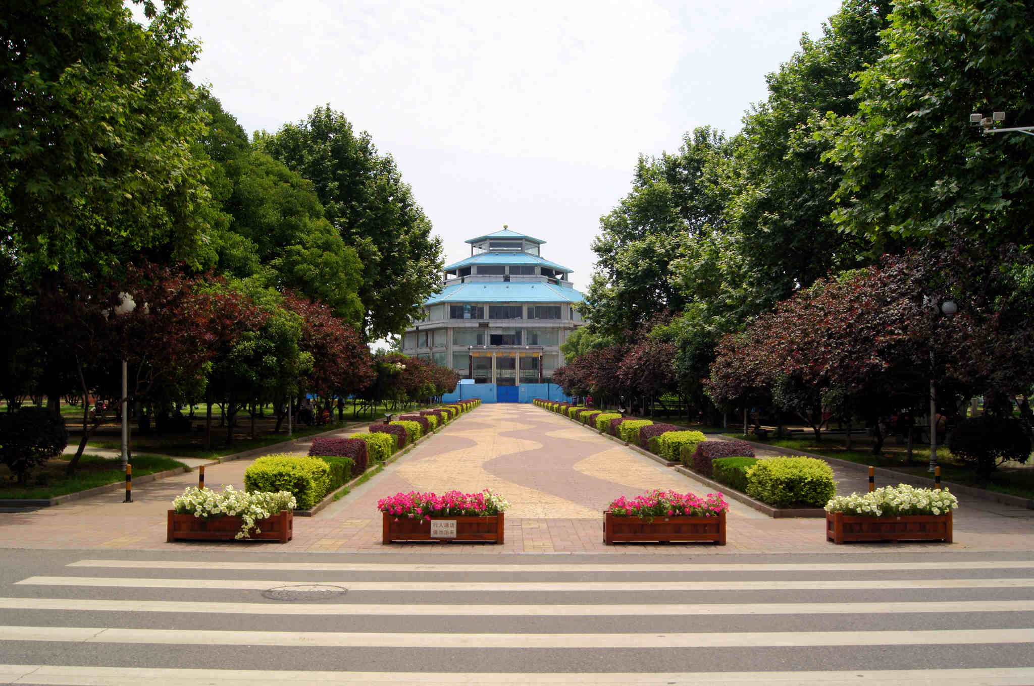 dsc00217_.jpg