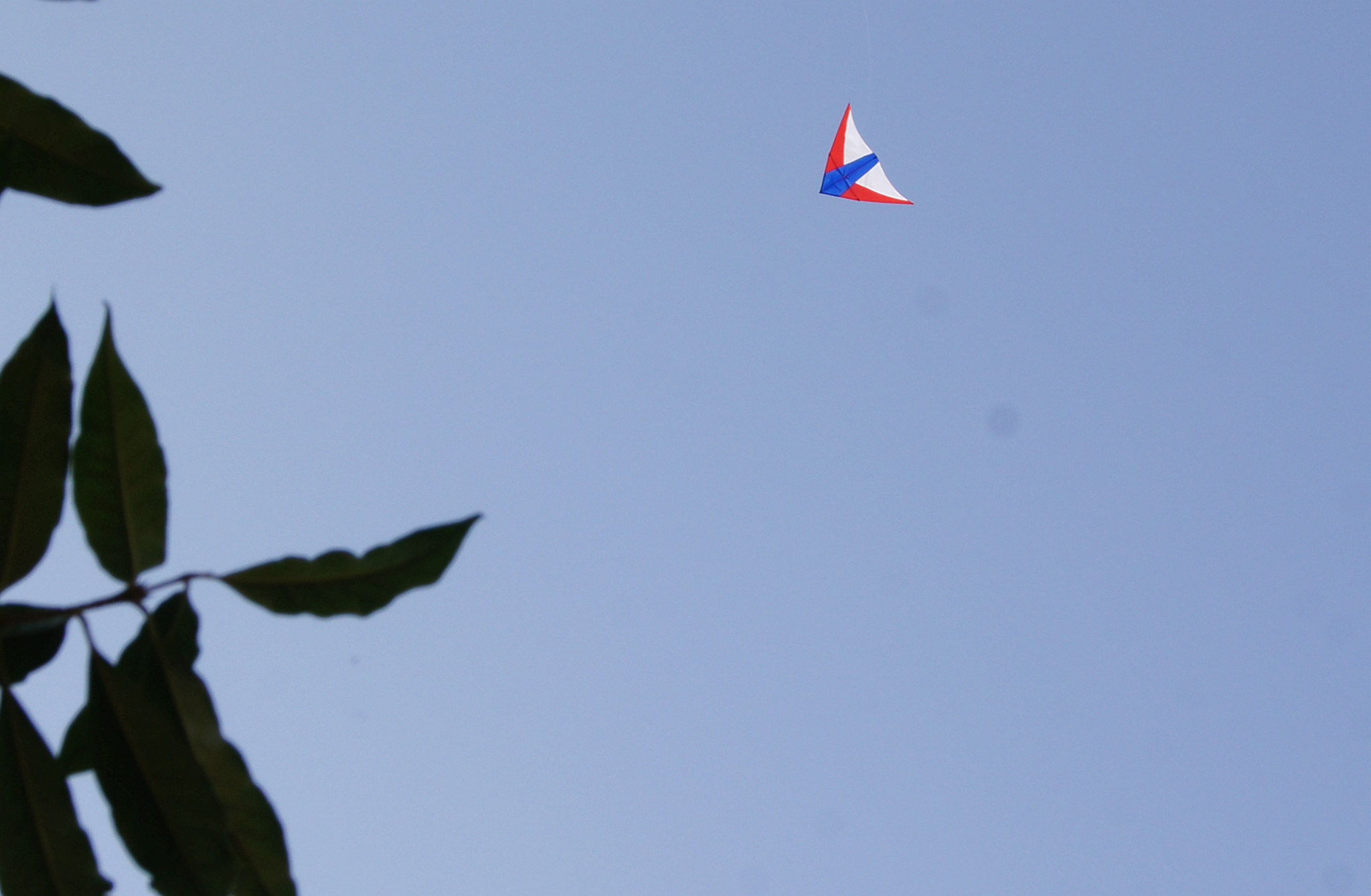 dsc00184_.jpg