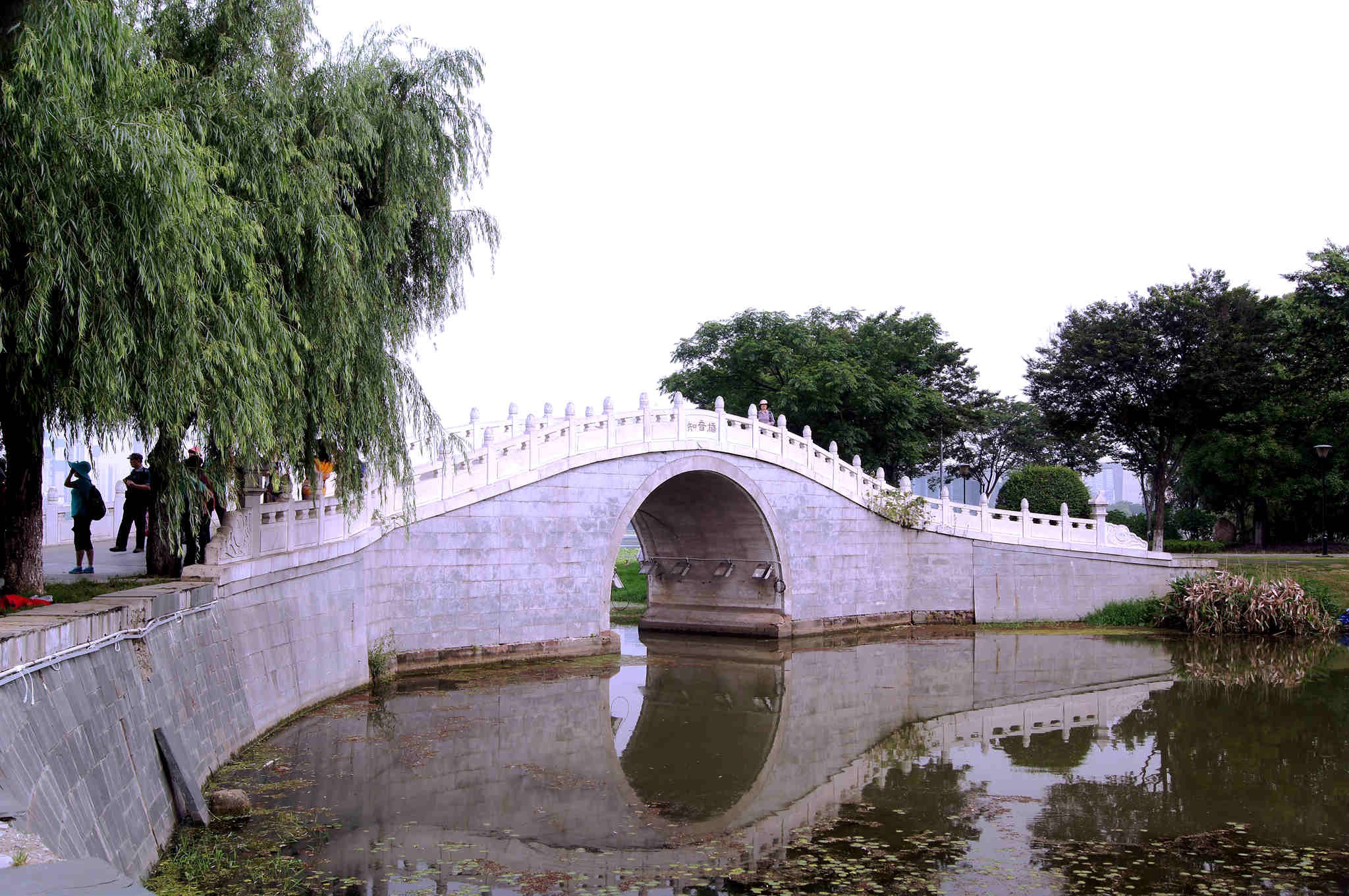 dsc00237_.jpg