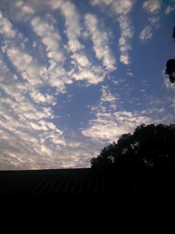 qqͼƬ20040109090752.jpg