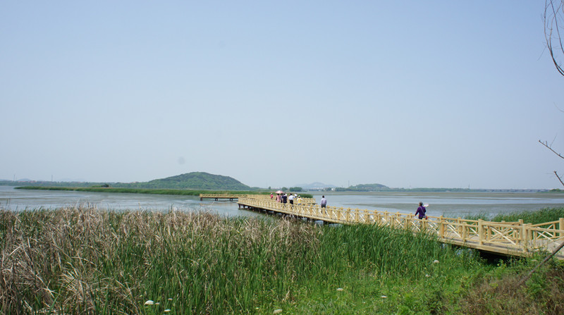 dsc08126_.jpg
