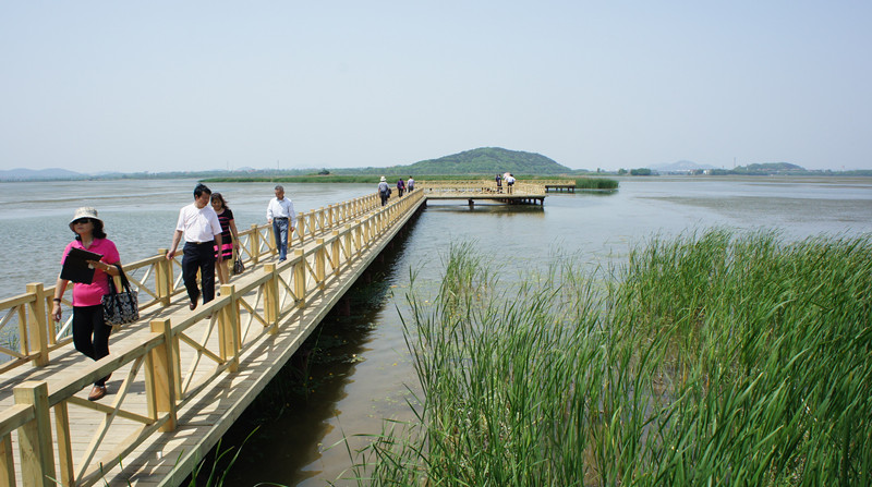 dsc08128_.jpg