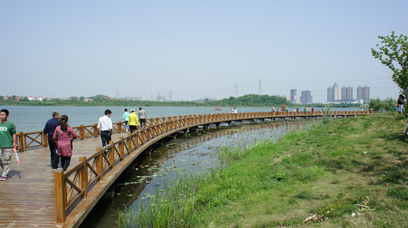 dsc08114_.jpg