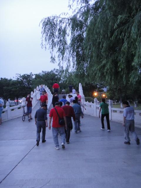 dsc03403.jpg
