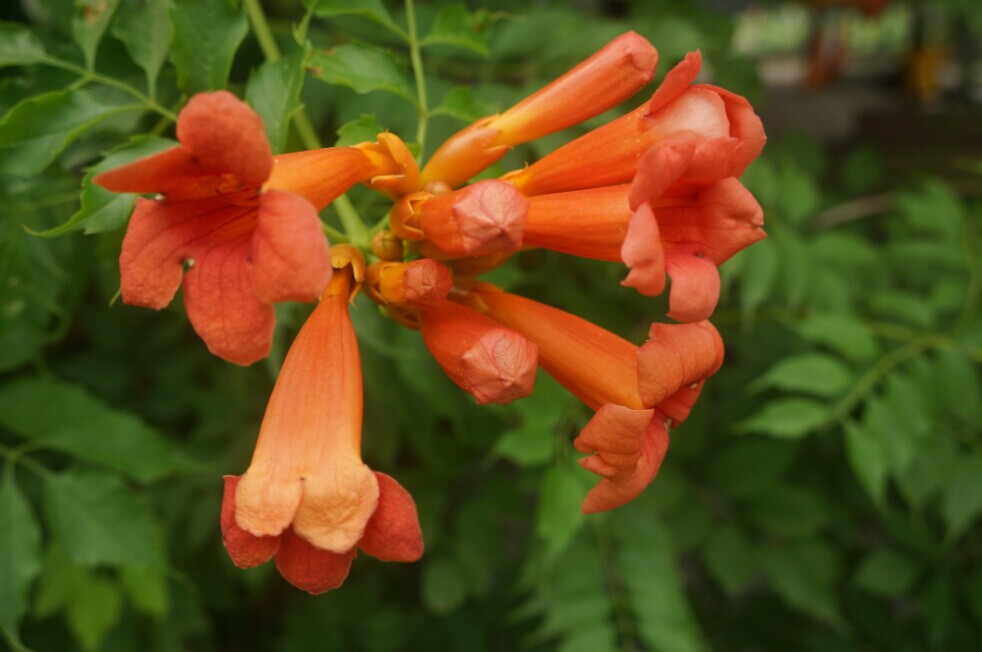 qqͼƬ20140610153730.jpg
