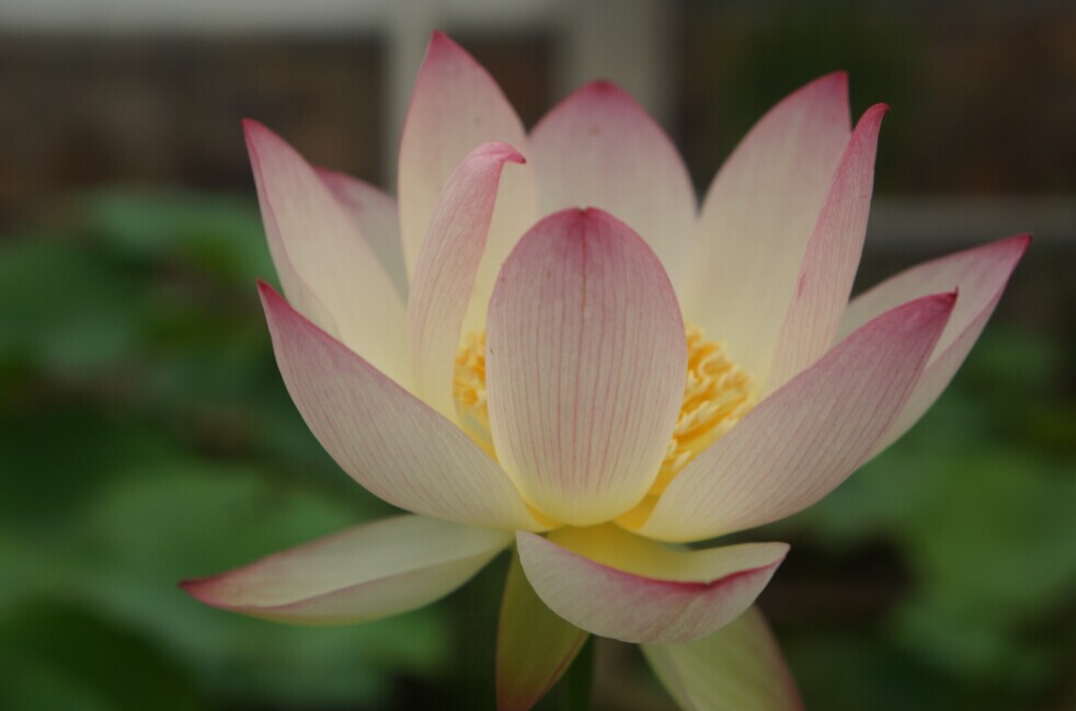 qqͼƬ20140610153811.jpg