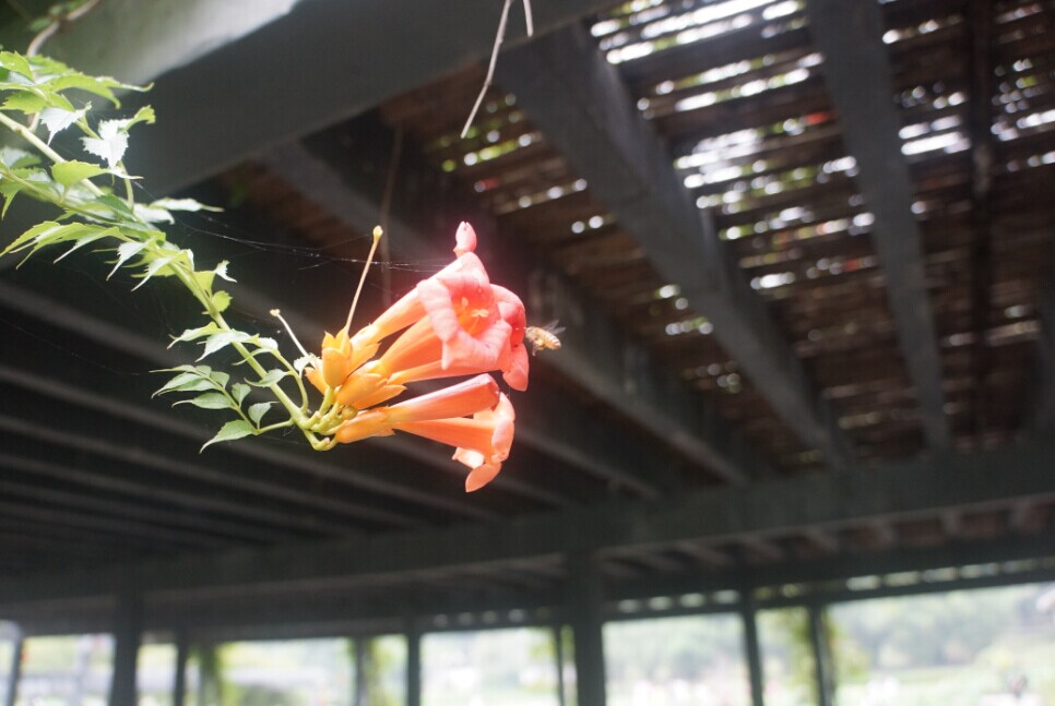 qqͼƬ20140610153853.jpg