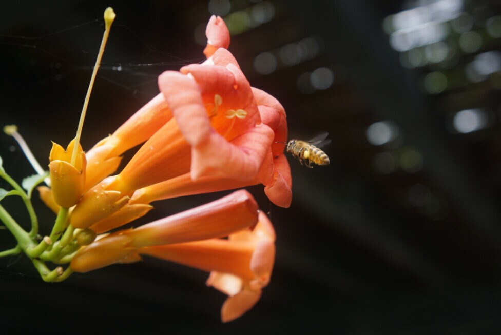 qqͼƬ20140610153918.jpg