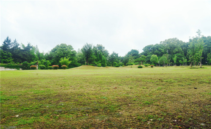dsc_8121_.jpg