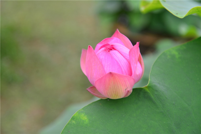dsc_8478_.jpg