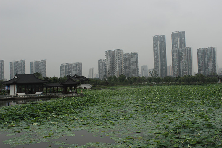 2014Ⱥ 002_.jpg
