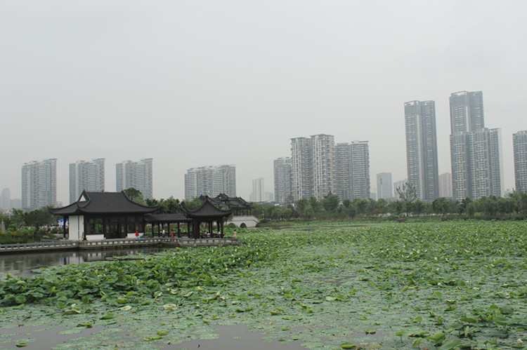 2014Ⱥ 001_.jpg