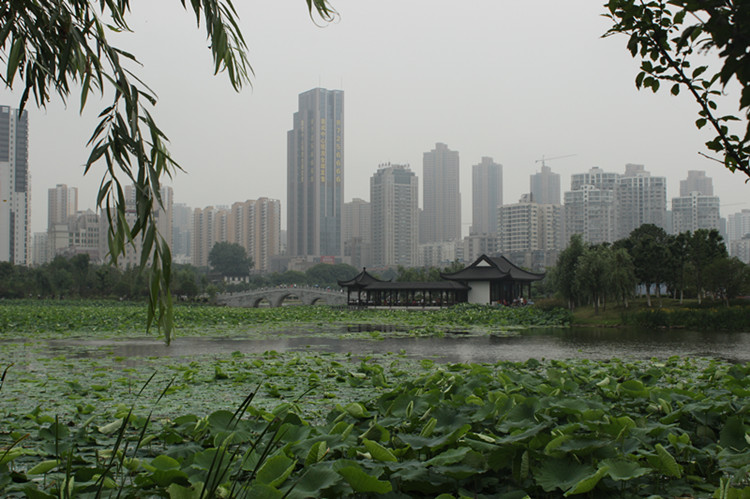 2014Ⱥ 010_.jpg