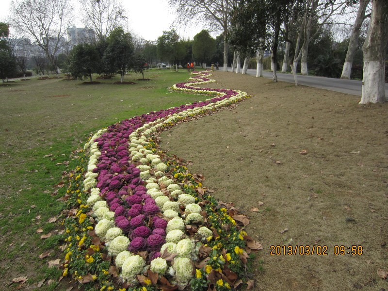 psb (1).jpg