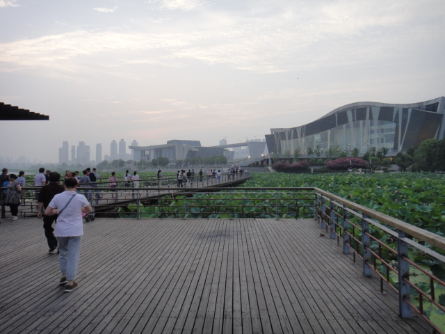 dsc03847.jpg
