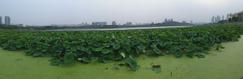qqͼƬ20140619215602_.jpg