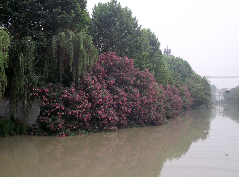 dscf8034.jpg