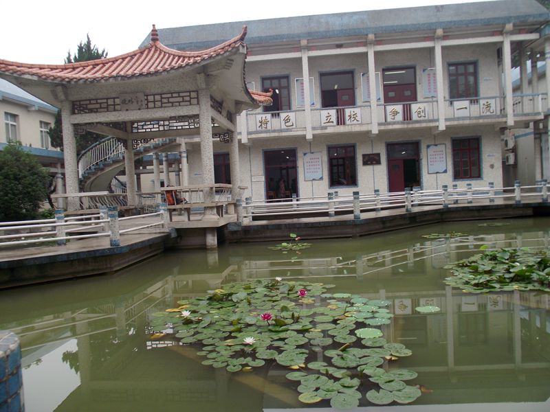 dscf8039.jpg