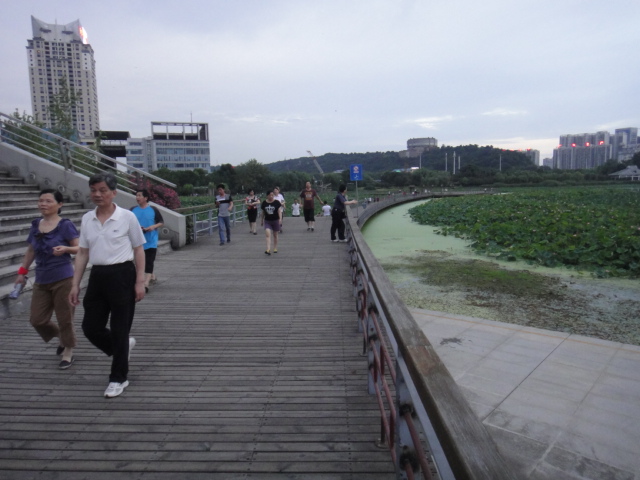 dsc03860.jpg