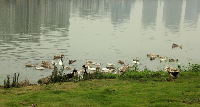 img_0017.jpg