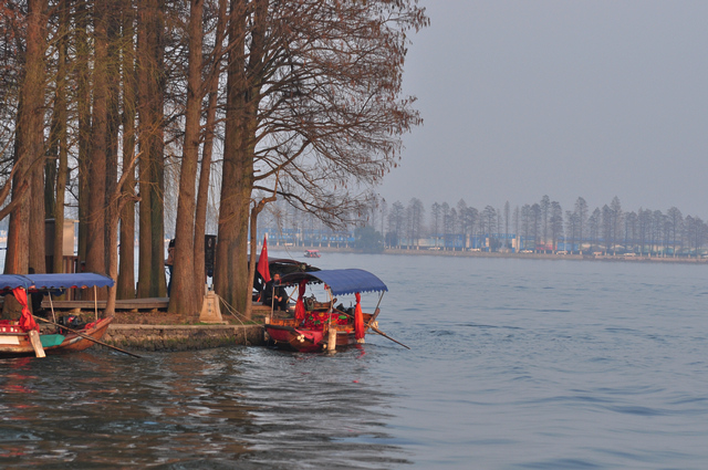 dsc_0512aa.jpg
