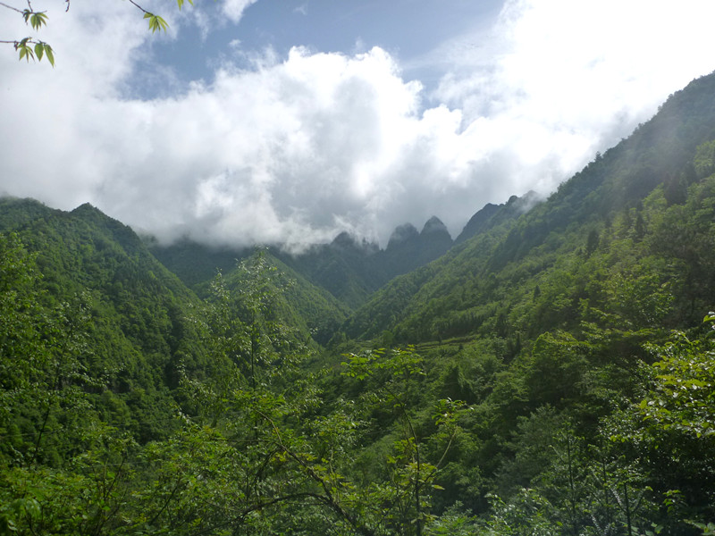 p1190765_.jpg