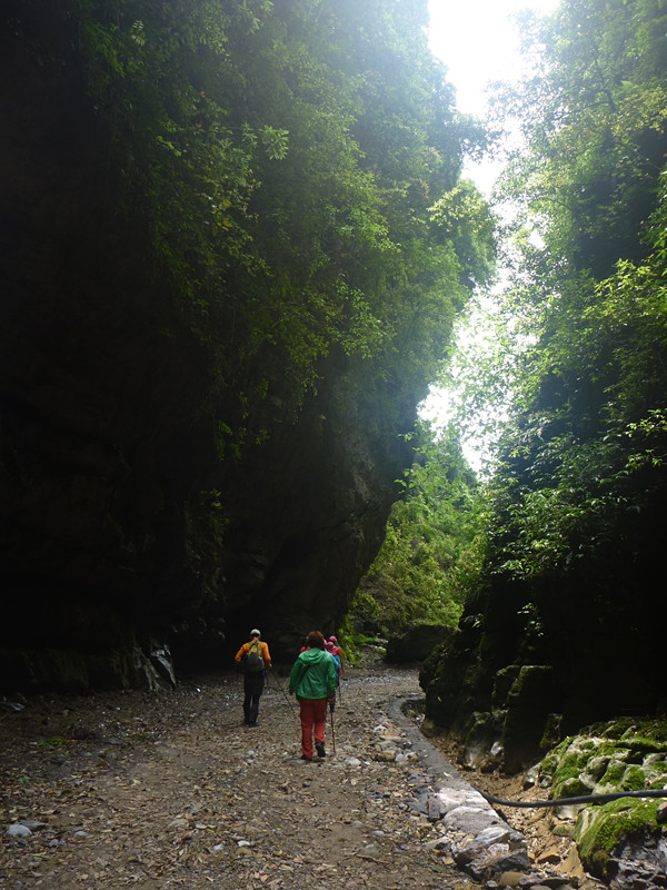 p1190936_.jpg