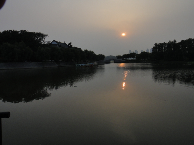 dsc03687.jpg