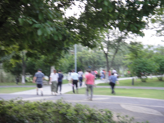 dsc03733.jpg