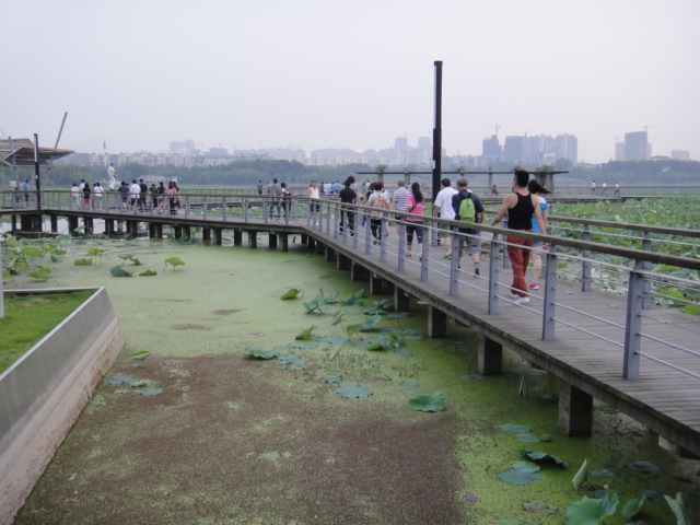 dsc03780.jpg