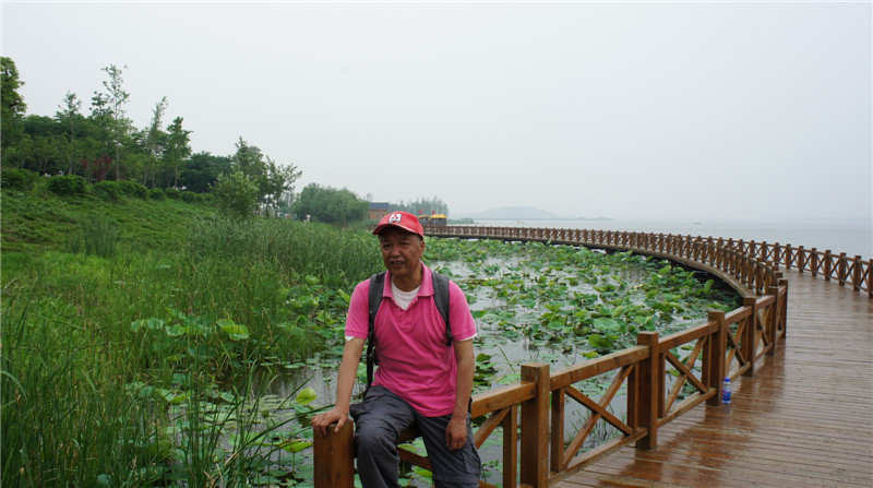 dsc08530.jpg