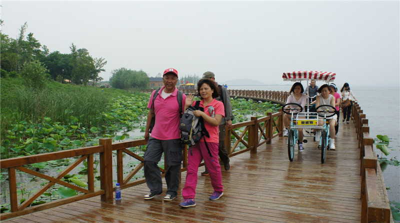 dsc08520_.jpg