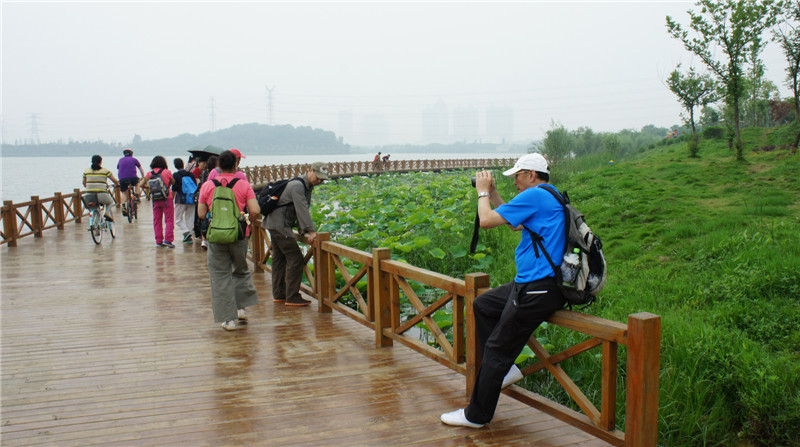dsc08514_.jpg