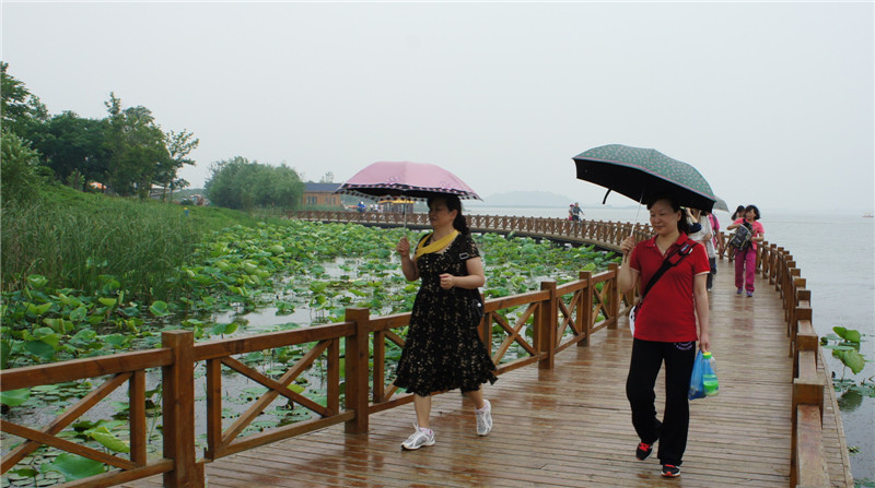 dsc08517_.jpg