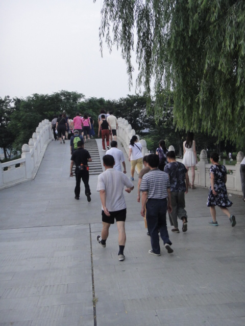 dsc03773.jpg