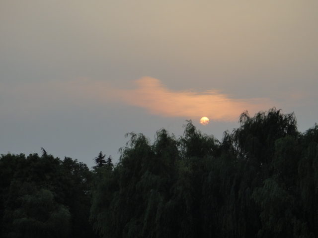 dsc03745.jpg