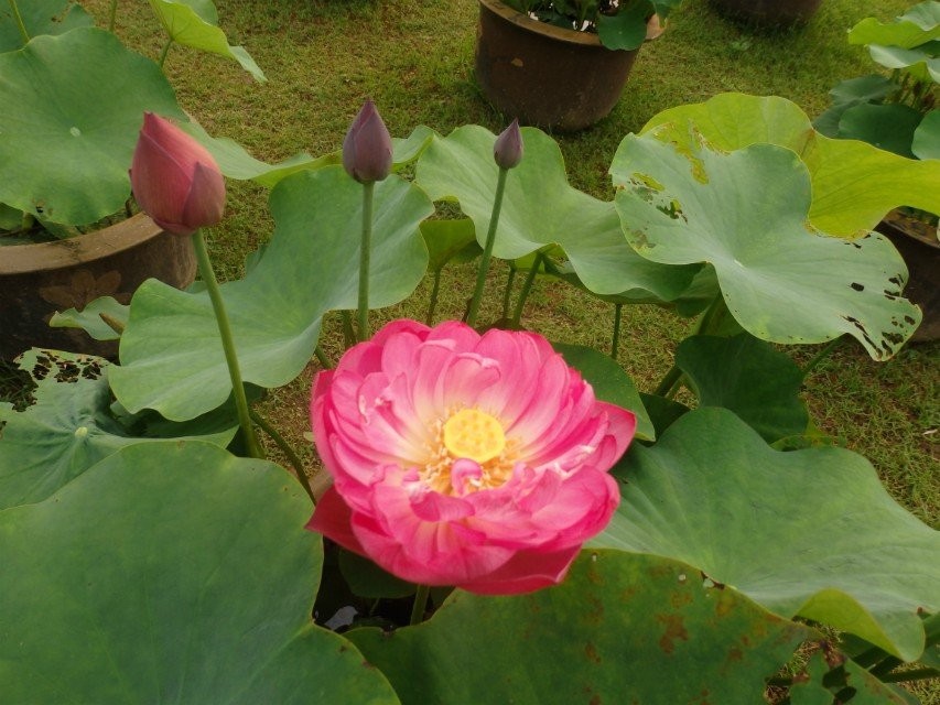 qqͼƬ20140609092919.jpg