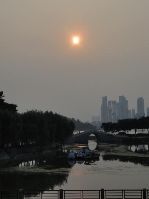 dsc03985.jpg