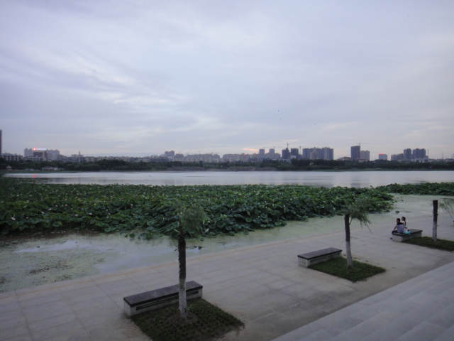 dsc03858.jpg