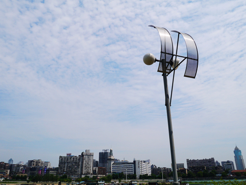 p1050088_.jpg