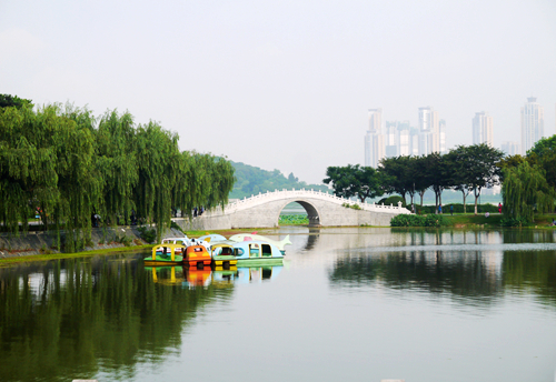 p1050037_.jpg