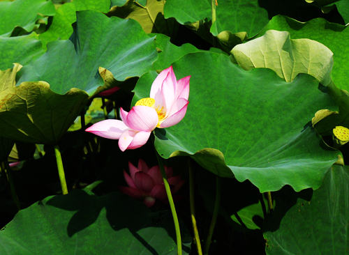 p1050045__.jpg