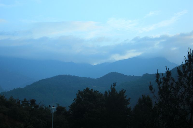 img_1772.jpg