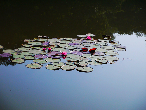 p1050158_.jpg