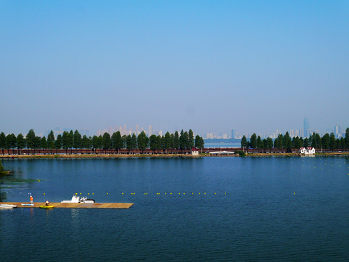 p1050167_.jpg