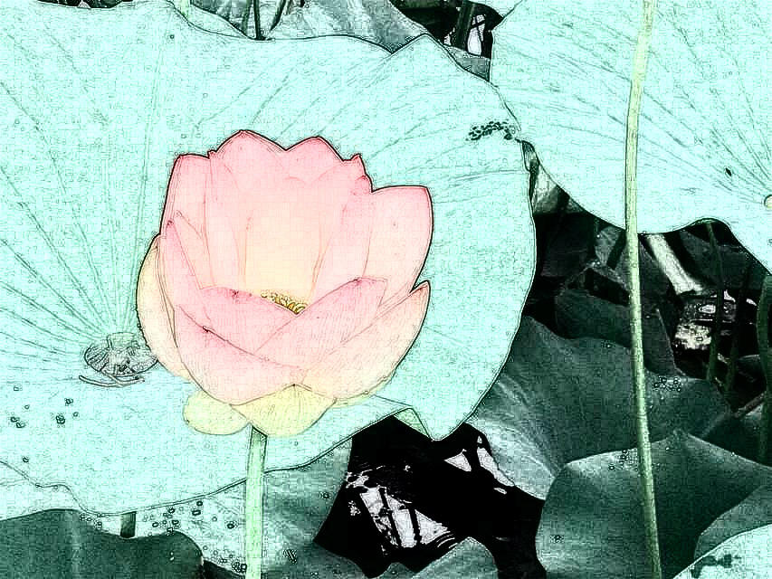 psb02.jpg