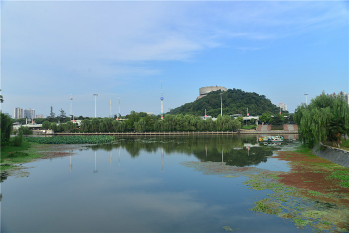 dsc_0863_.jpg