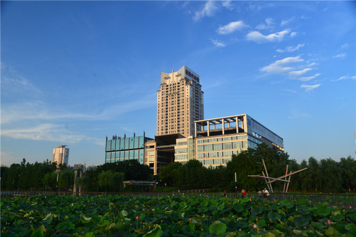 dsc_0879_.jpg