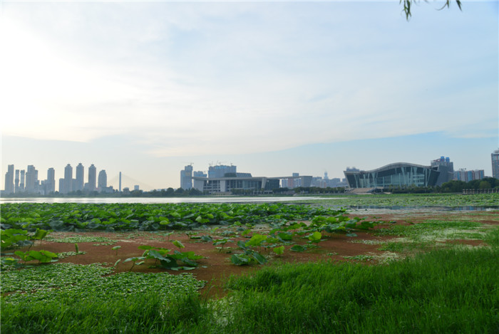 dsc_0874_.jpg